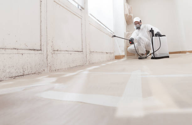 24/7 Emergency Attic Mold Remediation experts in Medina, NY